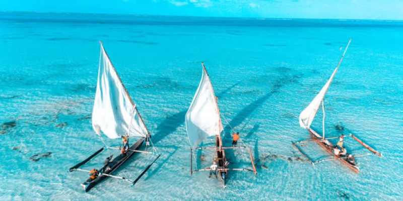 Aligning Zanzibar with a Safari Experience