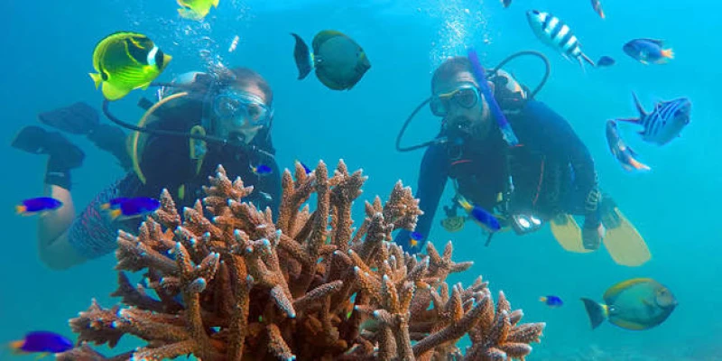 5. Snorkeling and Diving in the Indian Ocean