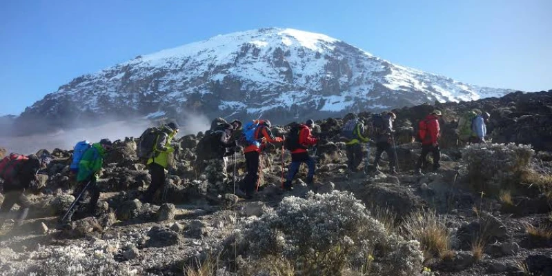 Best Time to Climb Mount Kilimanjaro - detail view