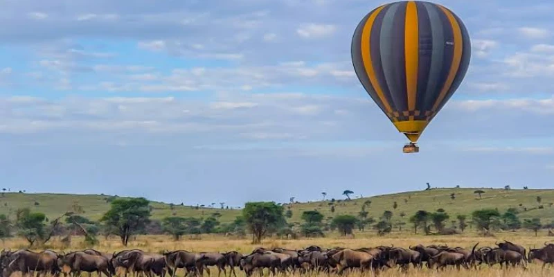 Balloon Safaris During Migration Season