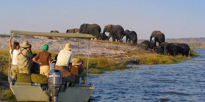 Everything You Need to Know Before Visiting Nyerere National Park - detail view