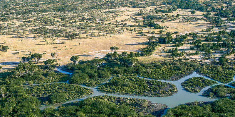 The Rufiji River: The Heart of the Ecosystem
