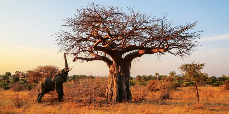 Best Time to Visit