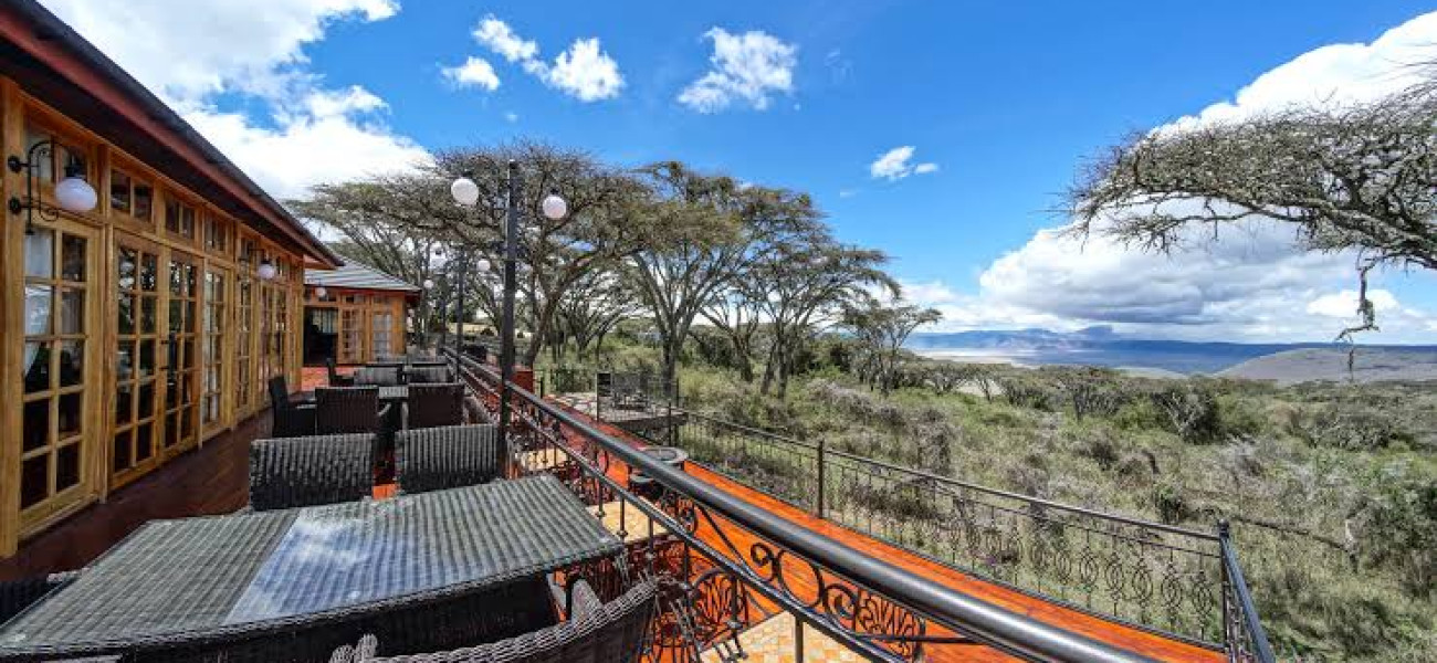 Ngorongoro Lions Paw