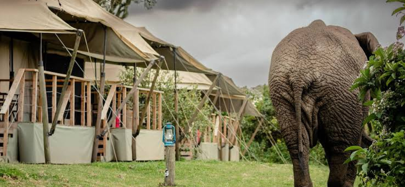 Ang'ata Ngorongoro Camp