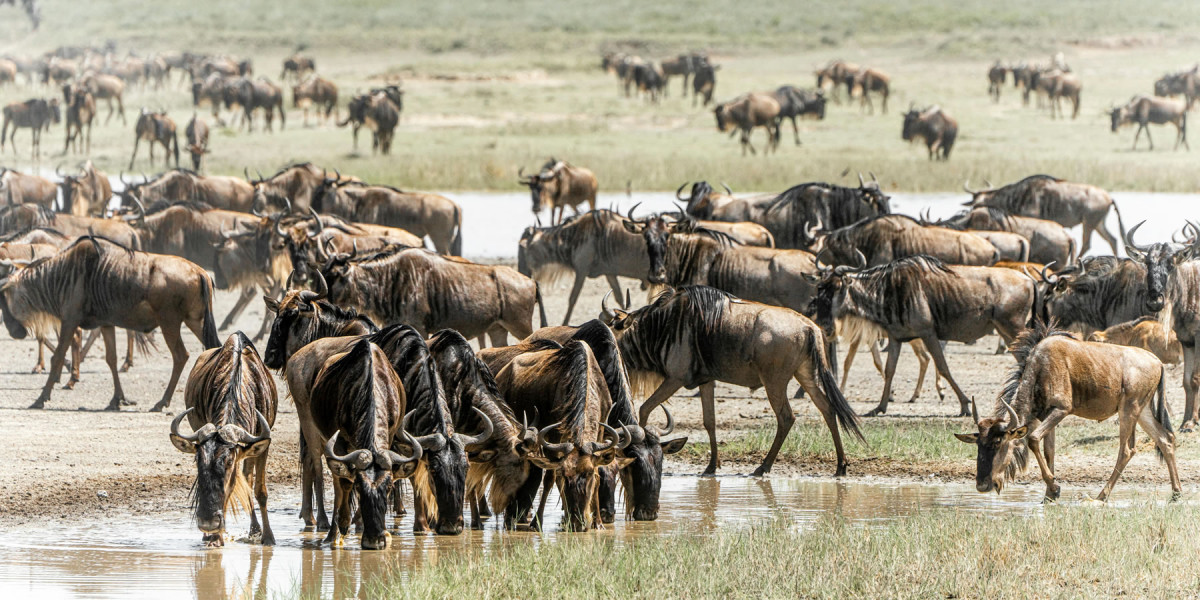 Serengeti National Park