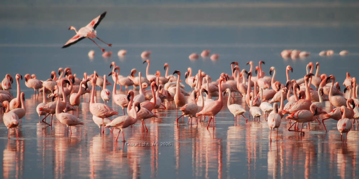 Lake Manyara National Park