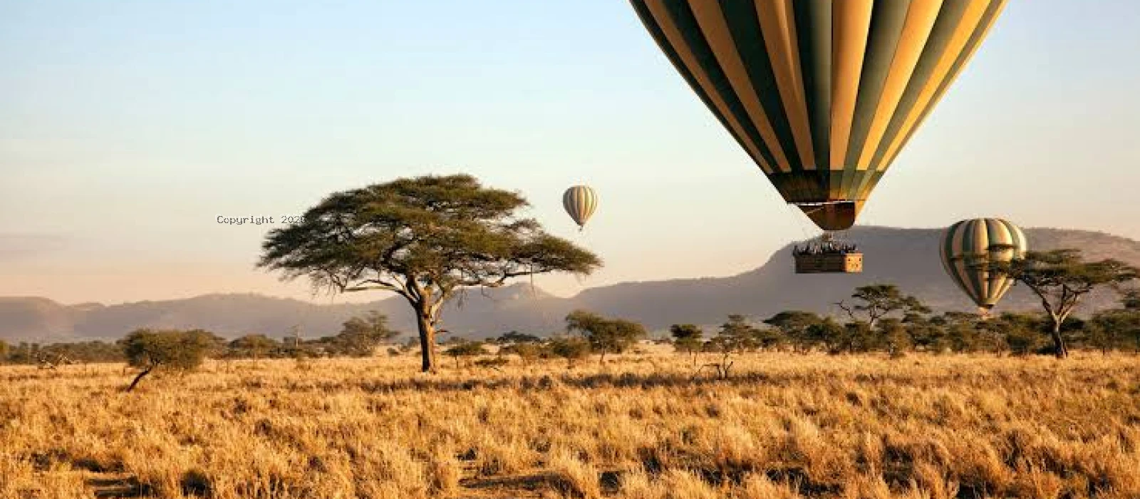 9-Day Luxury Tanzania Flying Safari