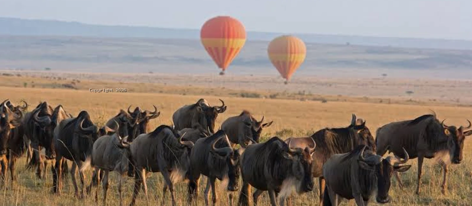 Big Five &amp; Great Migration Flying Safari