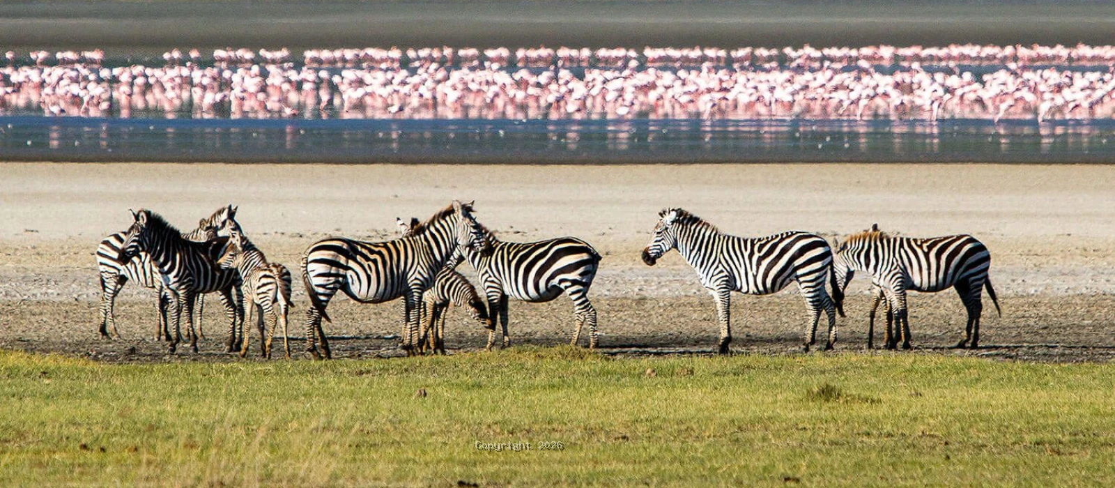Ngorongoro Crater