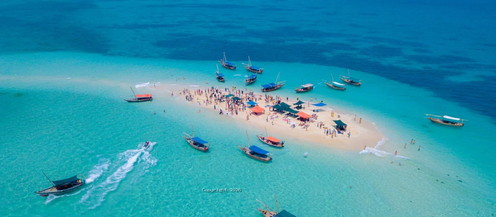 3-Day Flying Serengeti Safari from Zanzibar