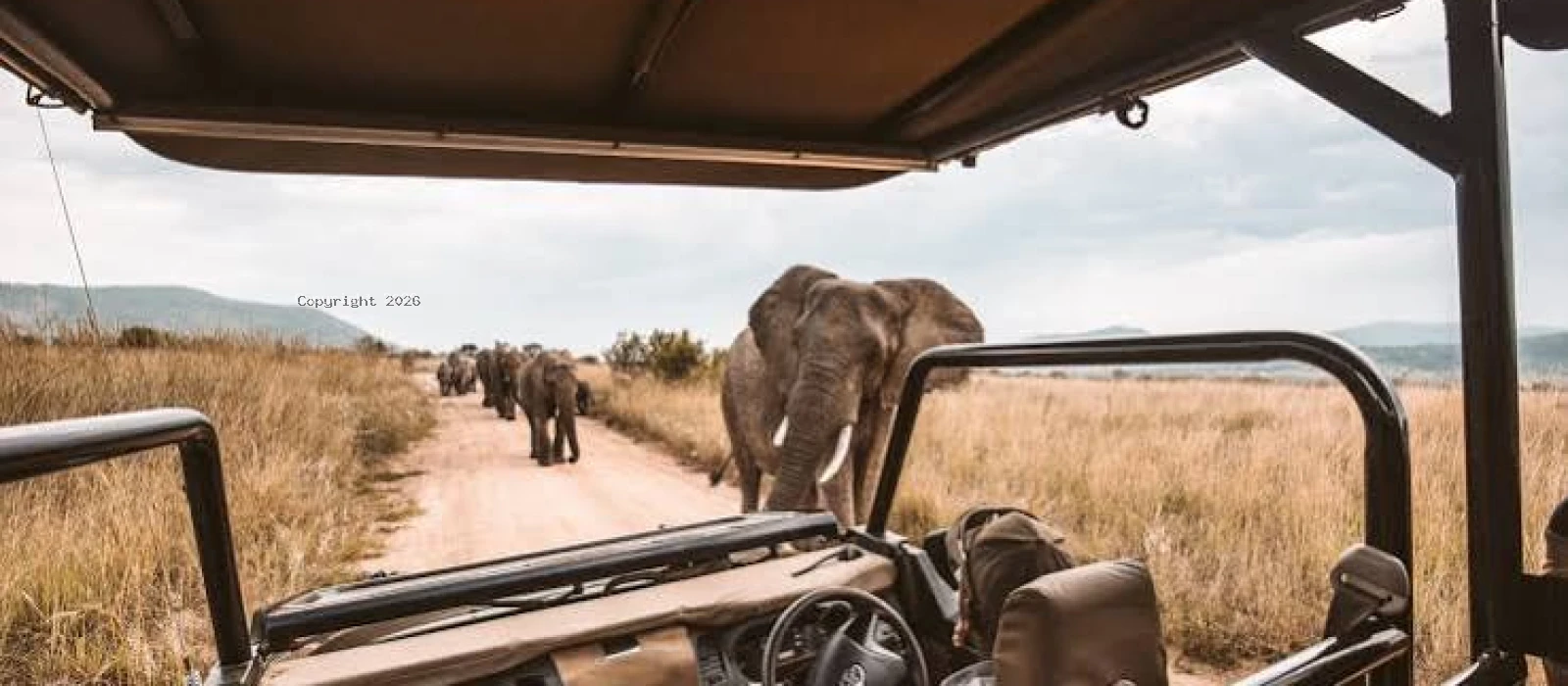 Zanzibar to Nyerere National Park Big Five Safari