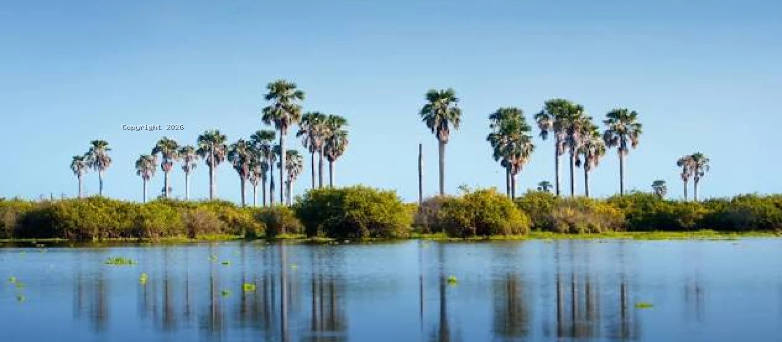 3-Day Zanzibar to Nyerere National Park Big Five Safari
