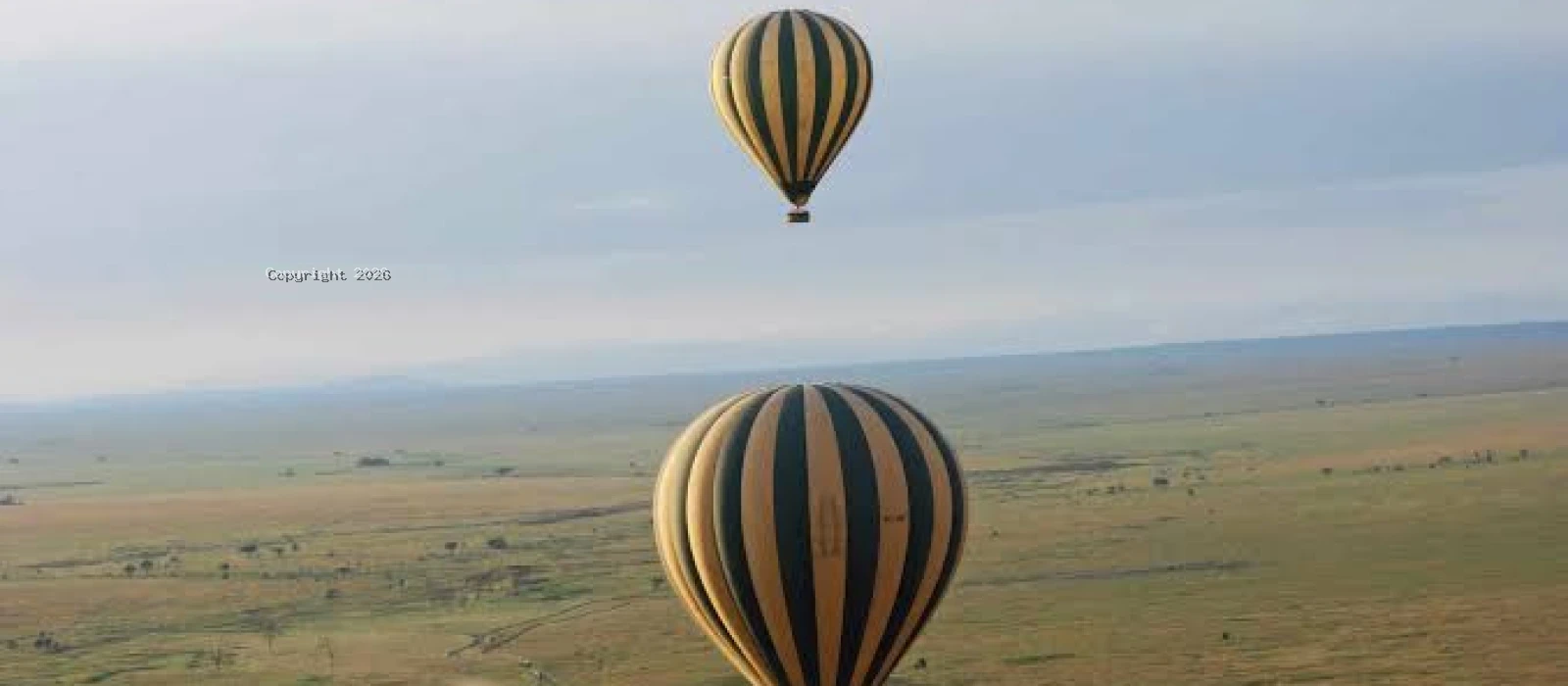 5-Day Ruaha National Park Fly-In Safari from Zanzibar Island