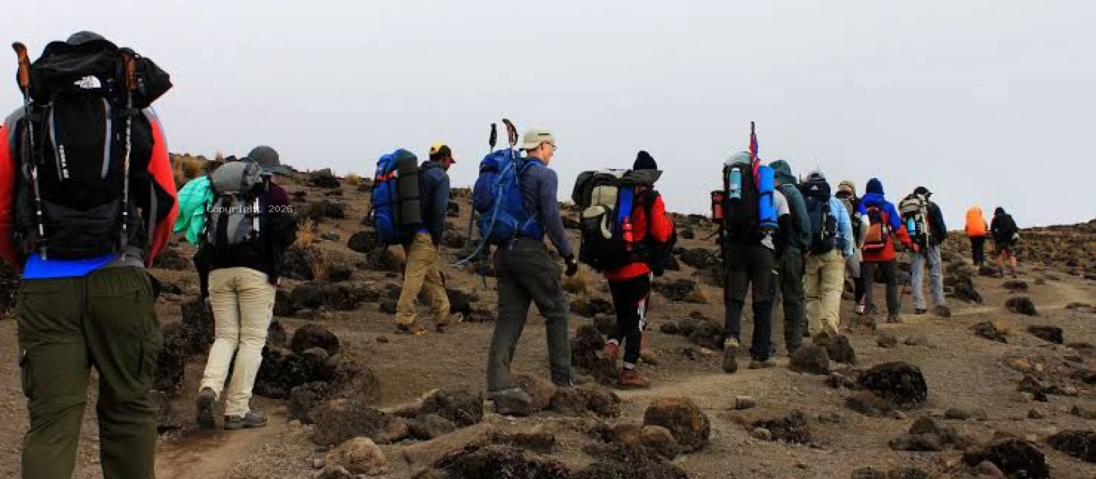 6-Day Kilimanjaro Marangu Route Summit Experience