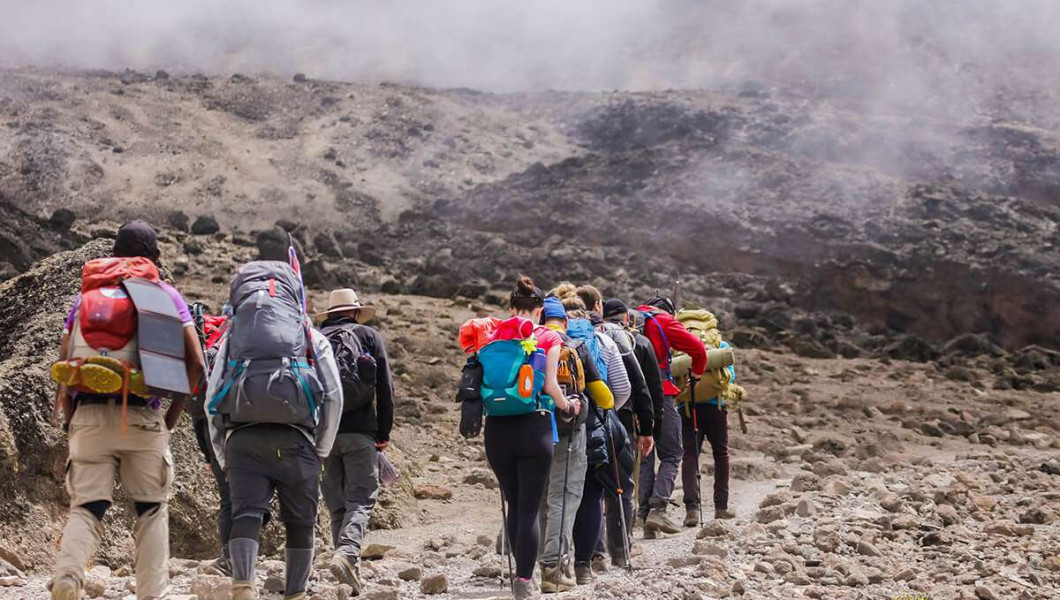 Day 6 image